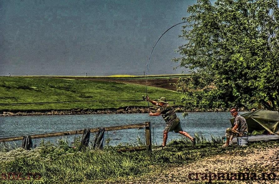 Concurs Party Cup - Sulimanu - 1010460hdrmode2.JPG